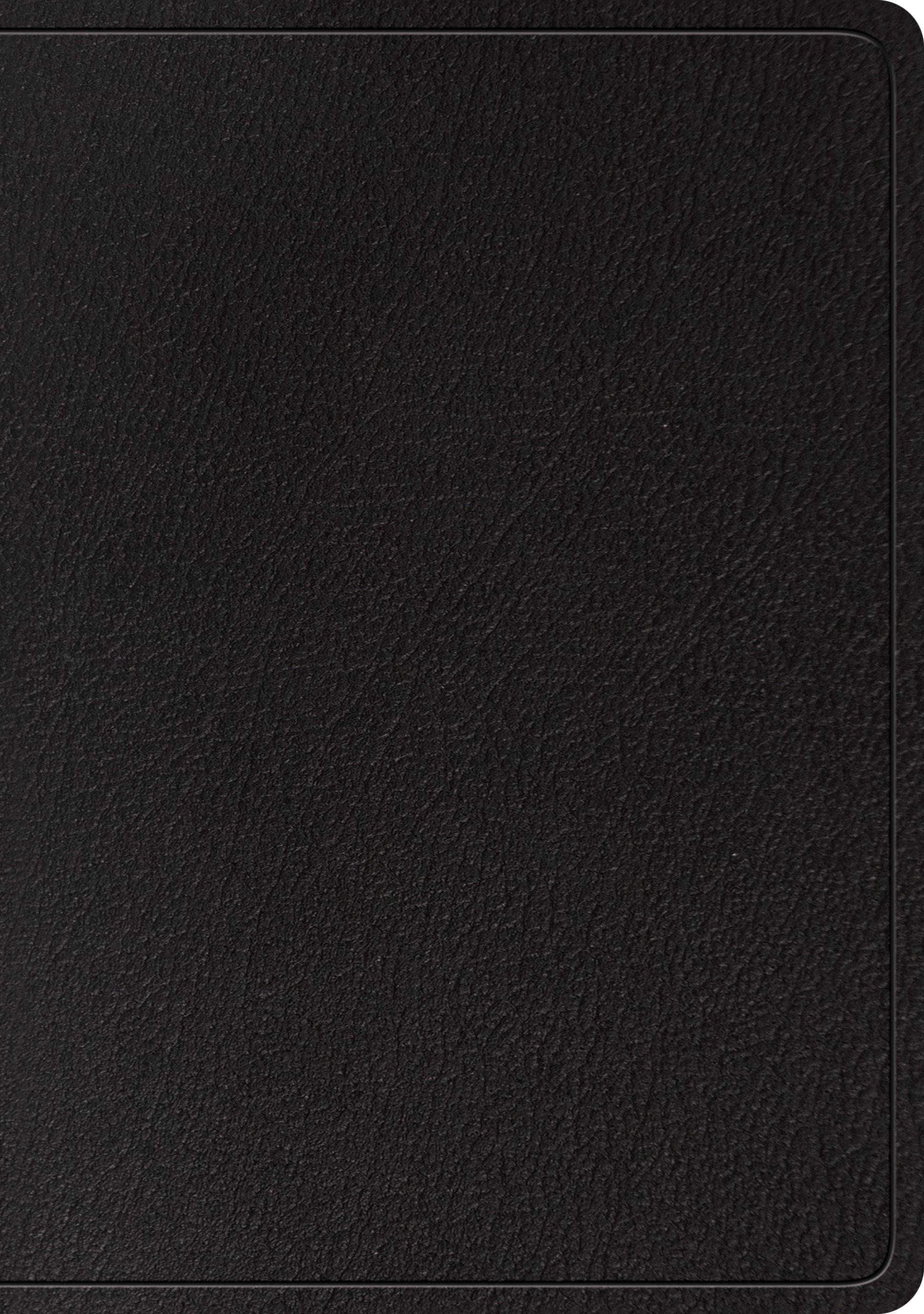 ESV Large Print Wide Margin Bible (Black) - Re-vived