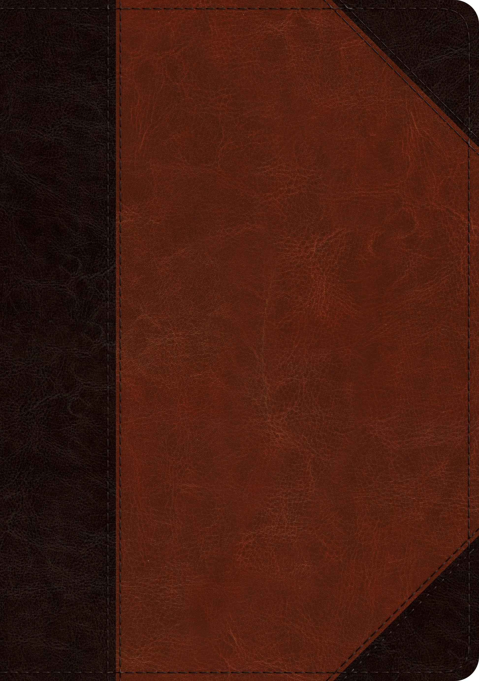 ESV Large Print Wide Margin Bible TruTone, Brown/Cordovan - Re-vived