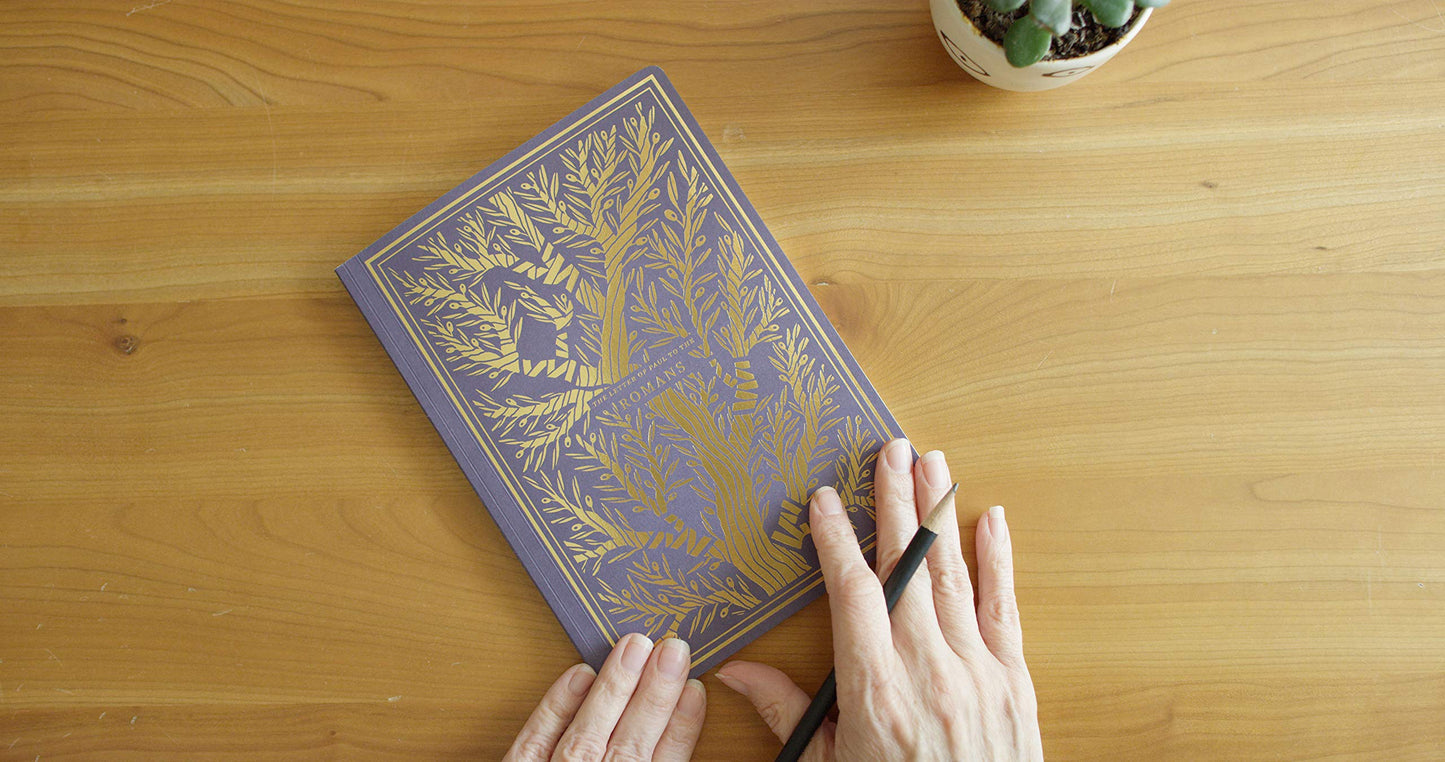 ESV Illuminated Scripture Journal: New Testament Set - Re-vived
