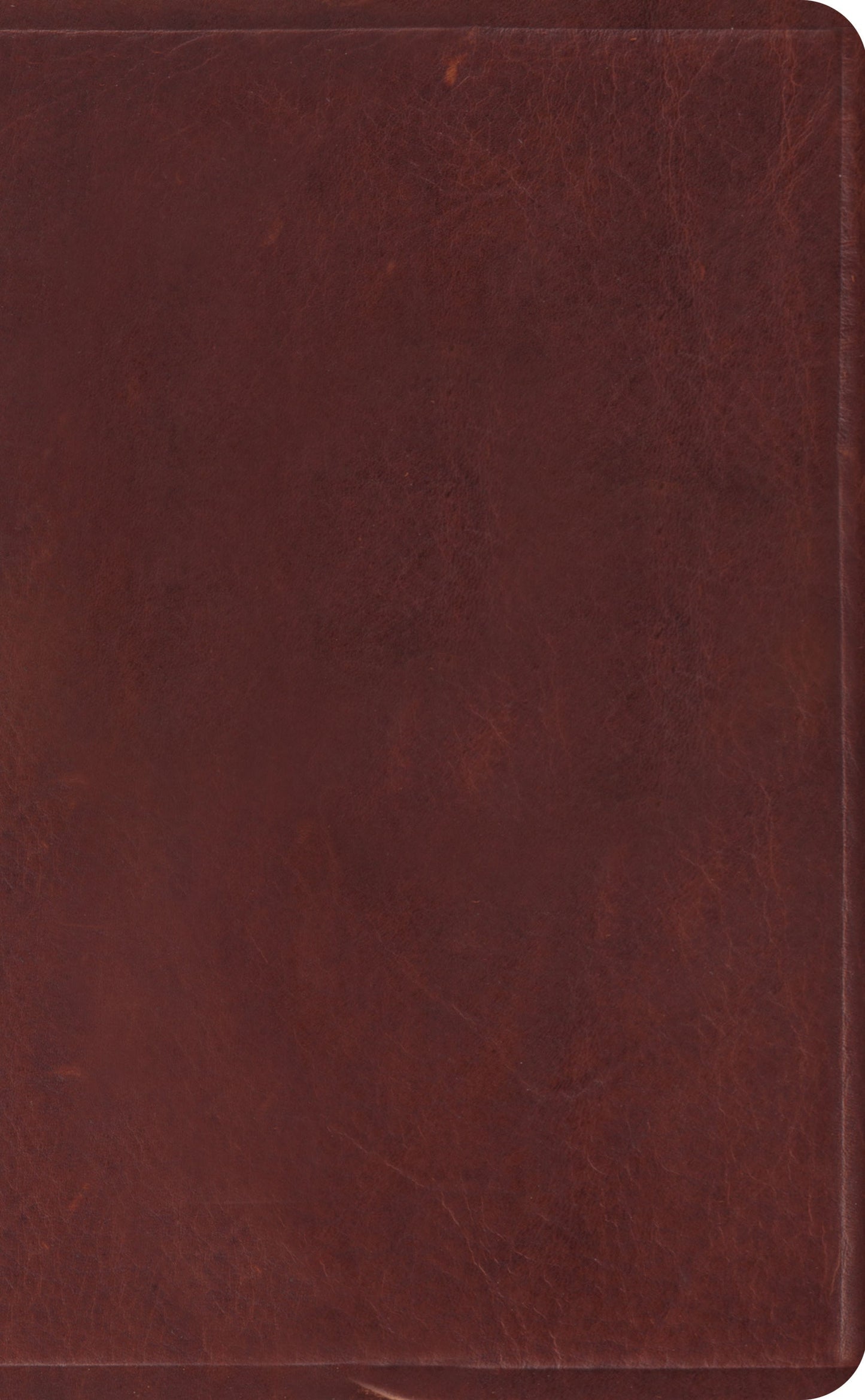 ESV Pocket Bible - Re-vived