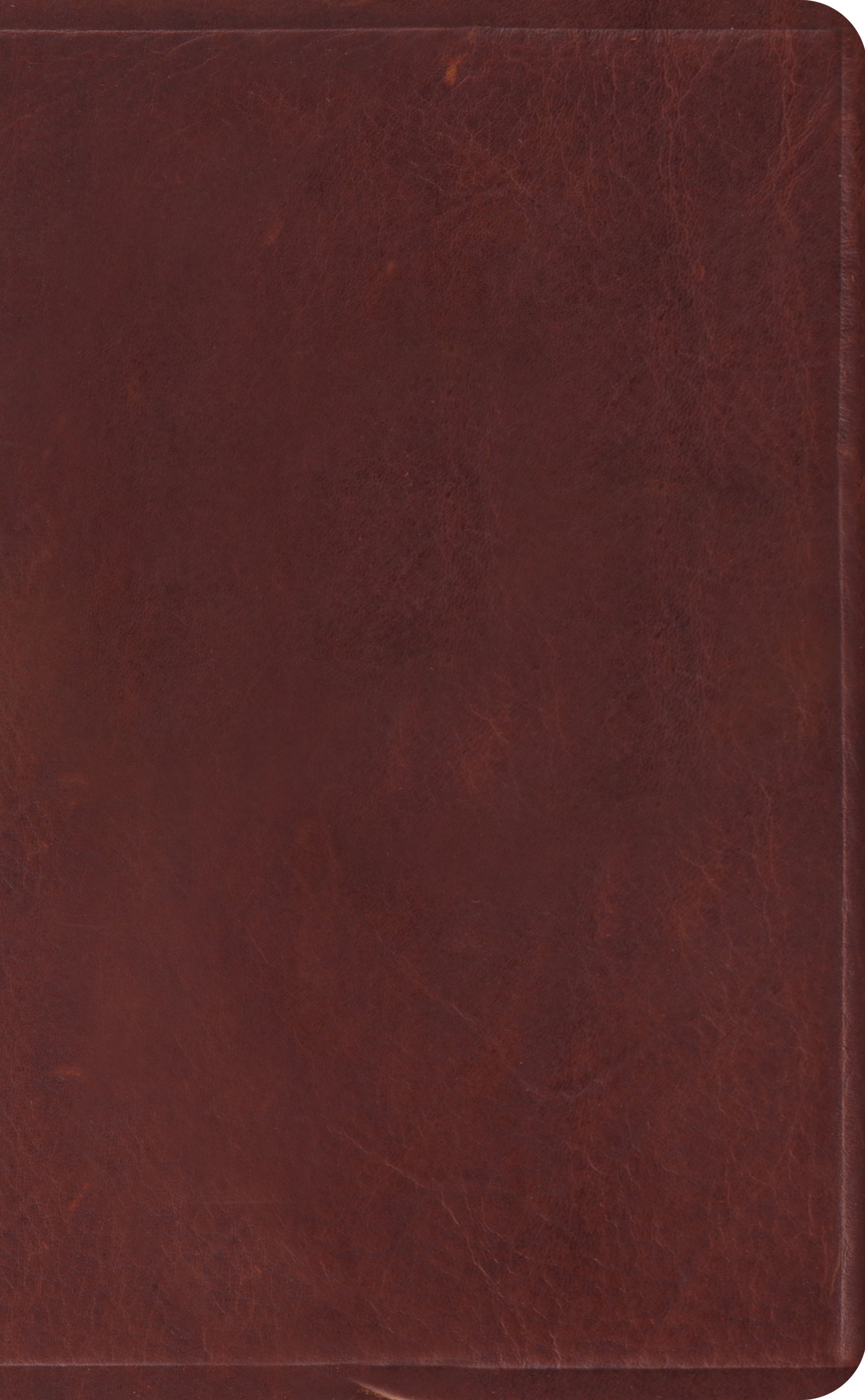ESV Pocket Bible - Re-vived