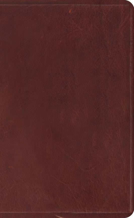 ESV Pocket Bible - Re-vived