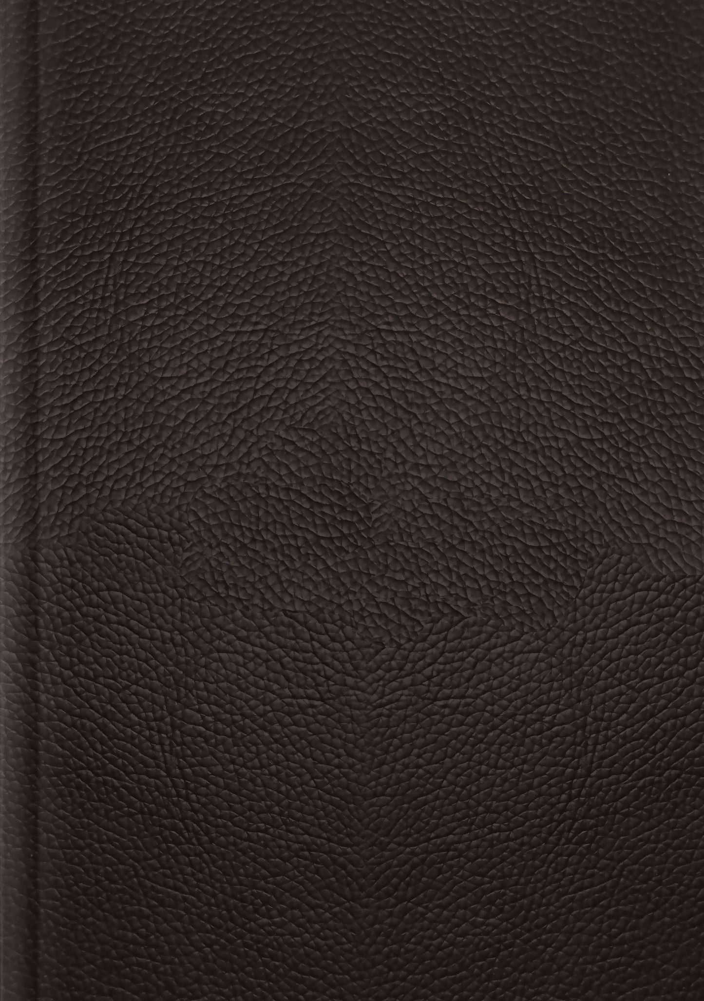 ESV Single Column Journaling Bible, Large Print - Re-vived