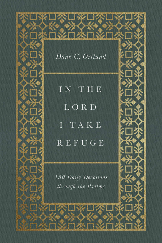 In the Lord I Take Refuge - Re-vived