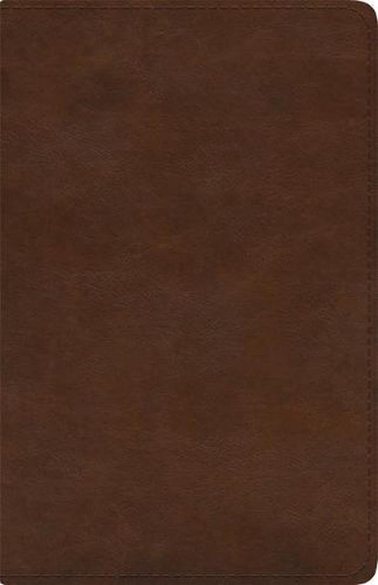 ESV Spanish/English Parallel Bible Imitation Leather - Re-vived