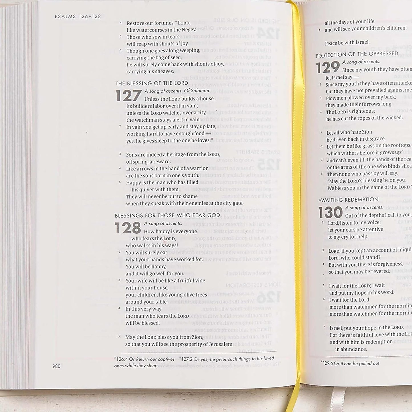 CSB She Reads Truth Bible Hardcover - Re-vived