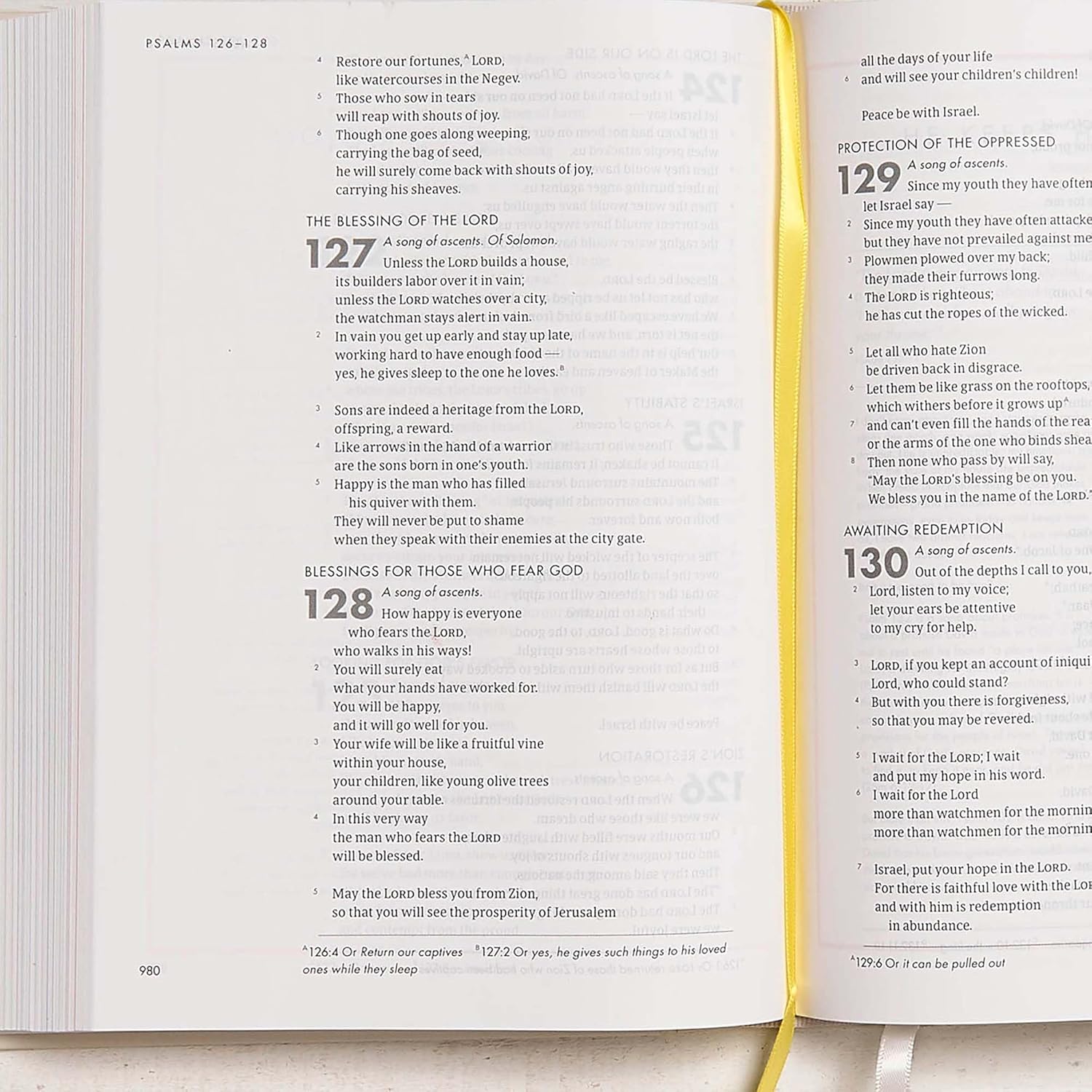 CSB She Reads Truth Bible Hardcover - Re-vived