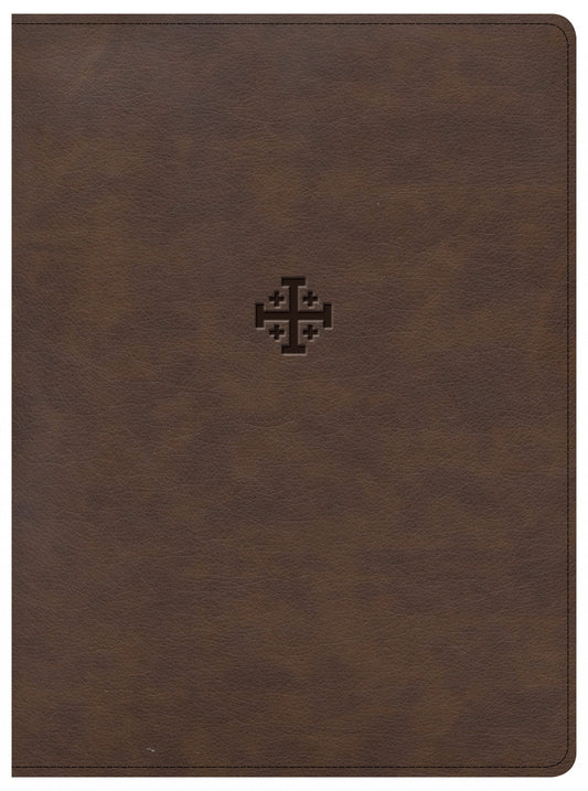 CSB Life Connections Study Bible, Brown LeatherTouch - Re-vived