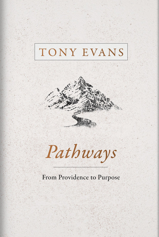 Pathways - Re-vived