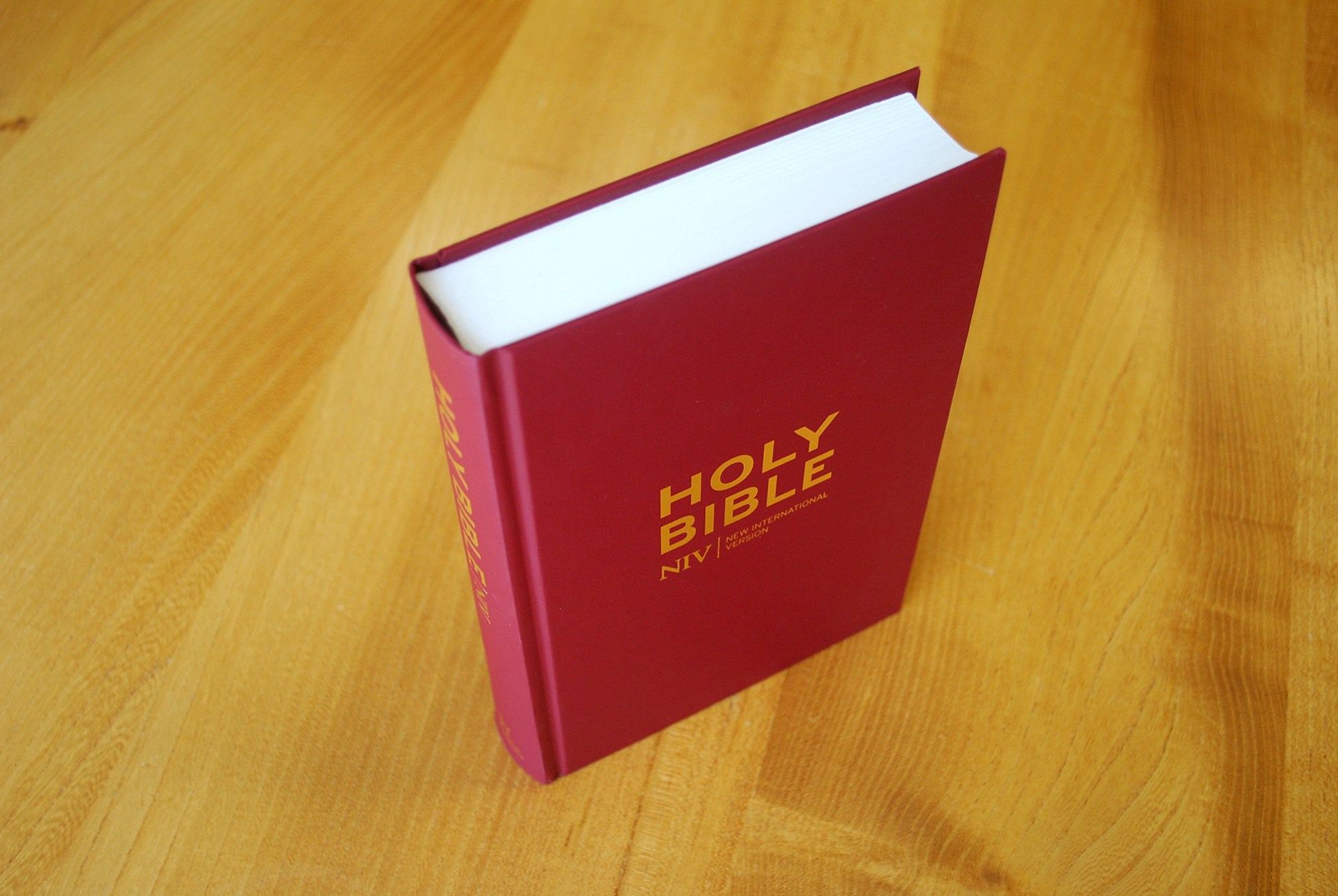 NIV Popular Burgundy Hardback Bible - Re-vived