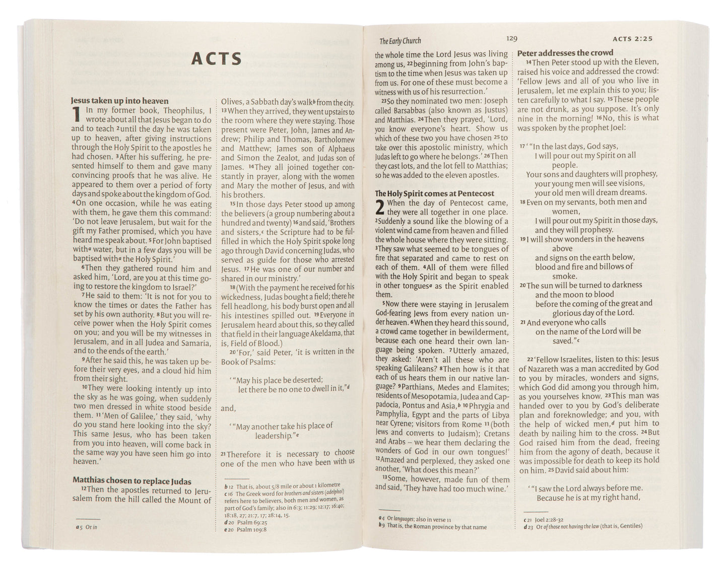 NIV New Testament Paperback - Re-vived