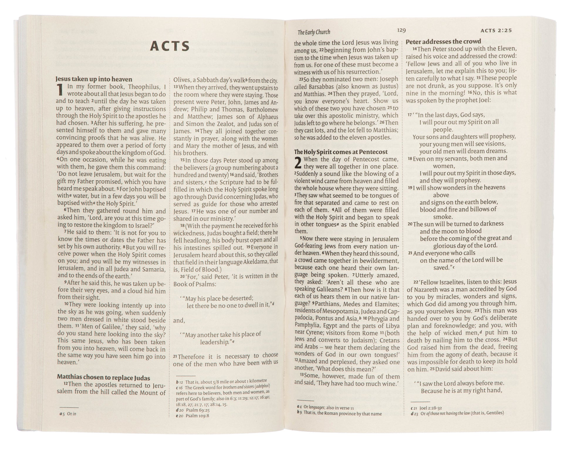 NIV New Testament Paperback - Re-vived