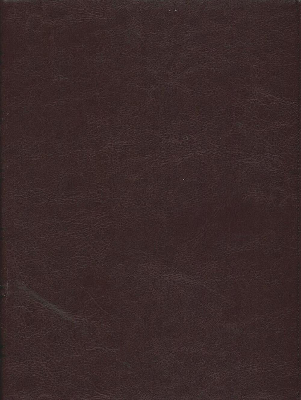 Santa Biblia Ntv, Edición Clásica (Spanish) Imitation Leather, Red Wine - Re-vived