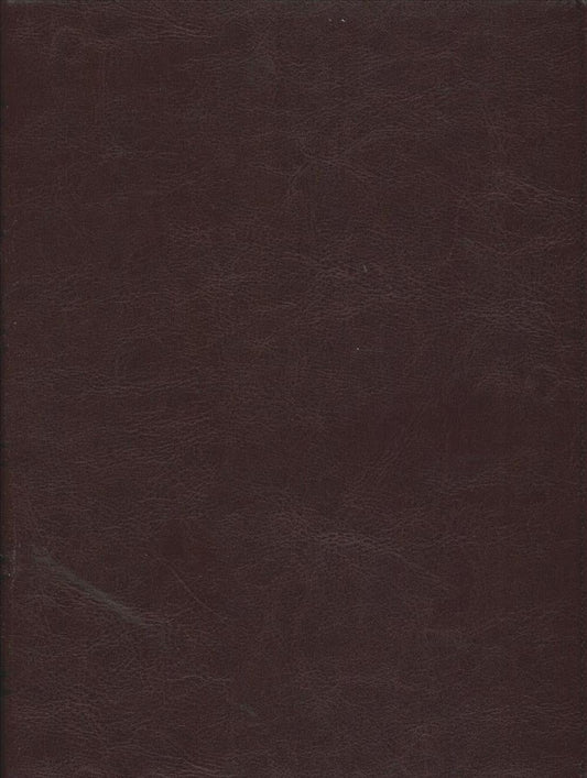 Santa Biblia Ntv, Edición Clásica (Spanish) Imitation Leather, Red Wine - Re-vived