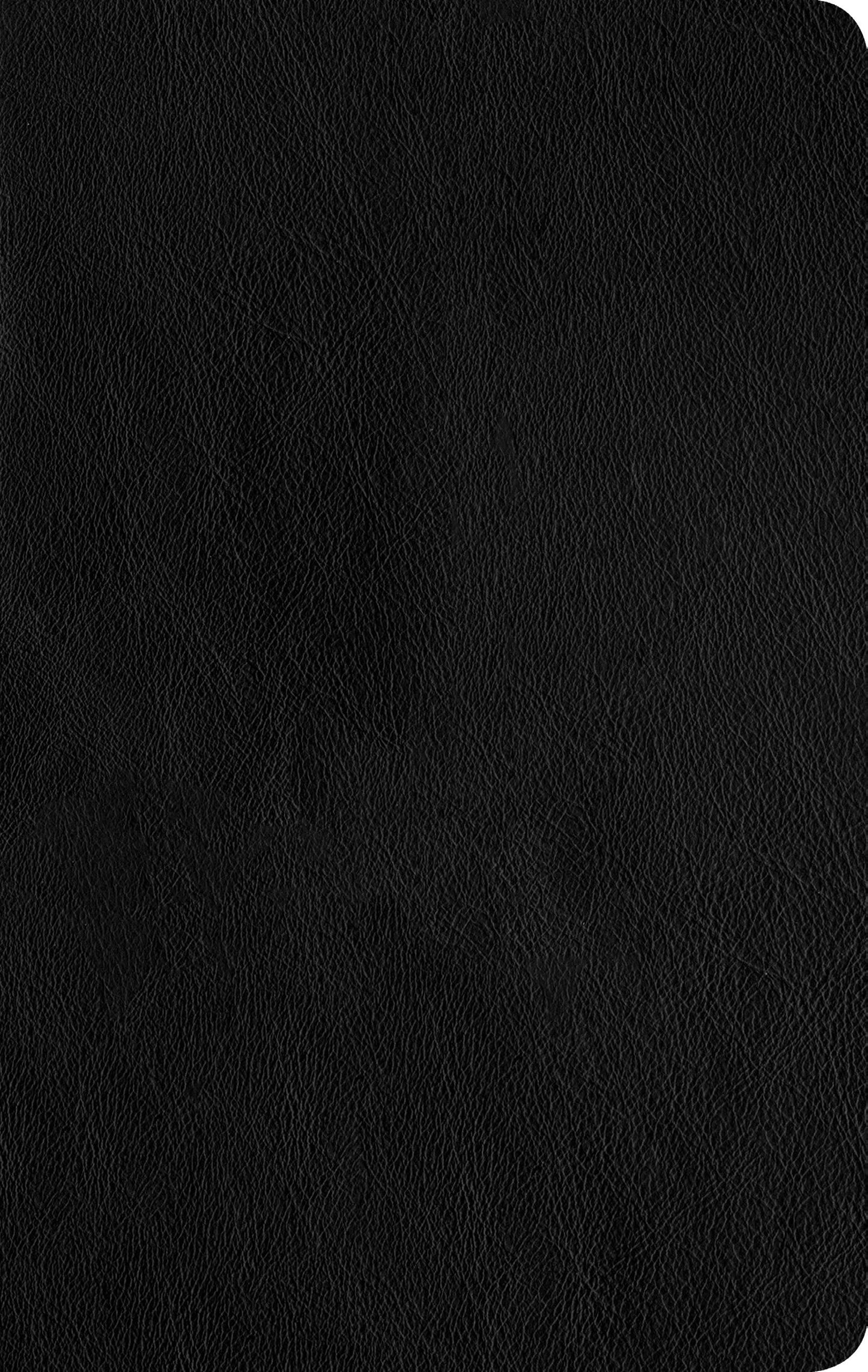 NLT Thinline Reference Bible, Filament Enabled Edition - Re-vived