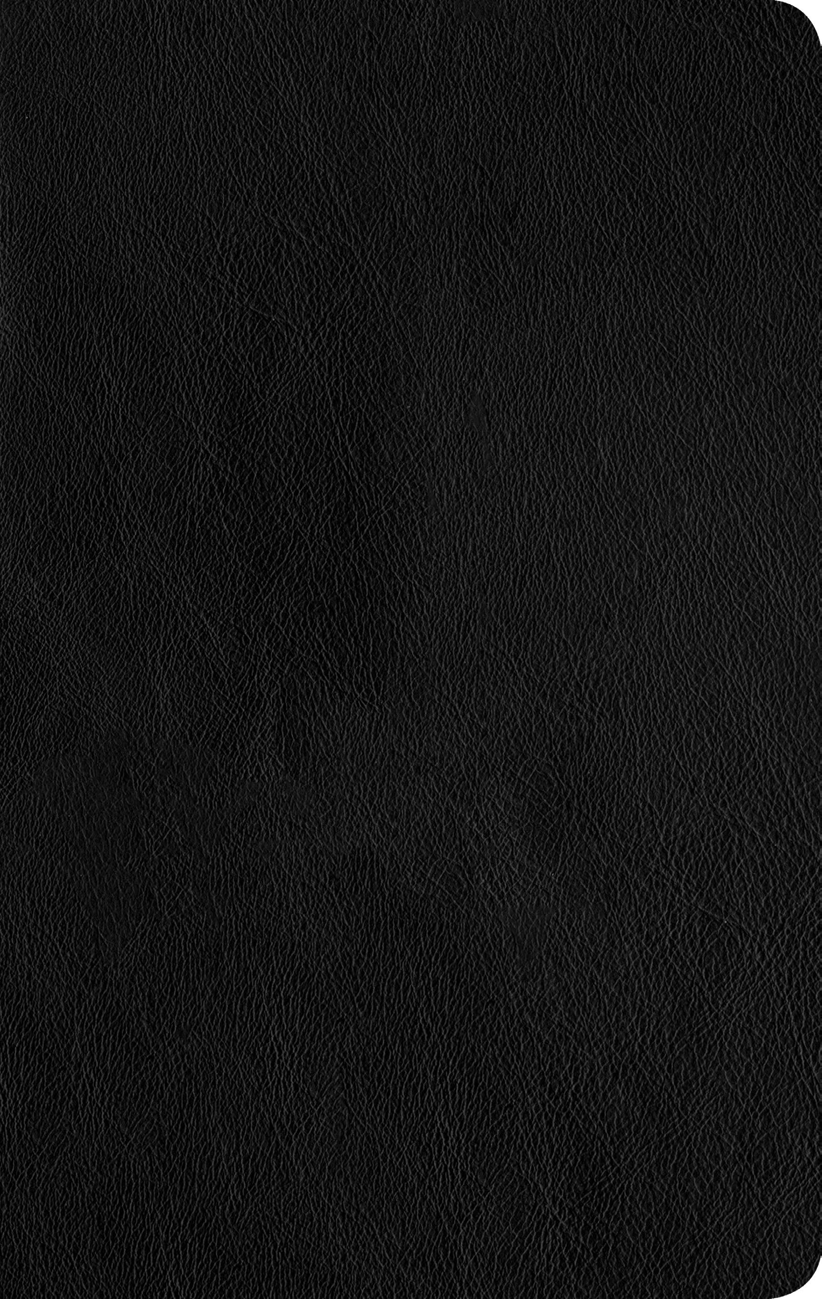 NLT Thinline Reference Bible, Filament Enabled Edition - Re-vived