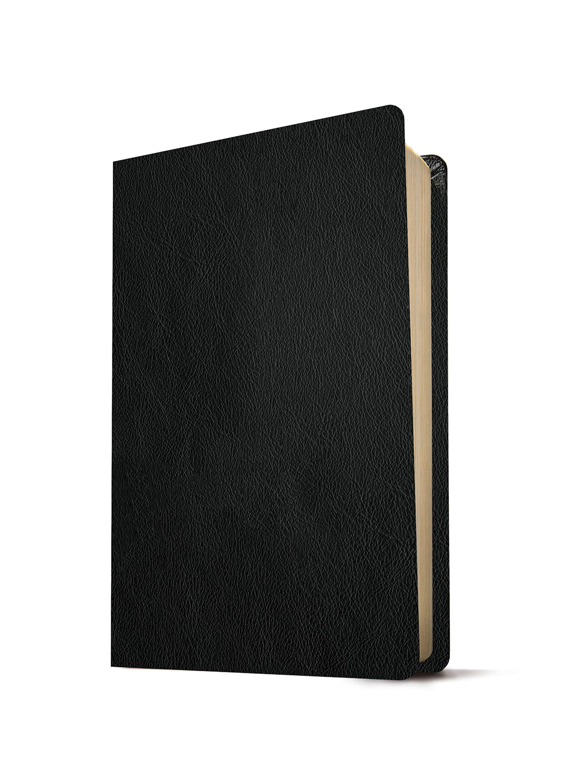 NLT Thinline Reference Bible, Filament Enabled Edition - Re-vived