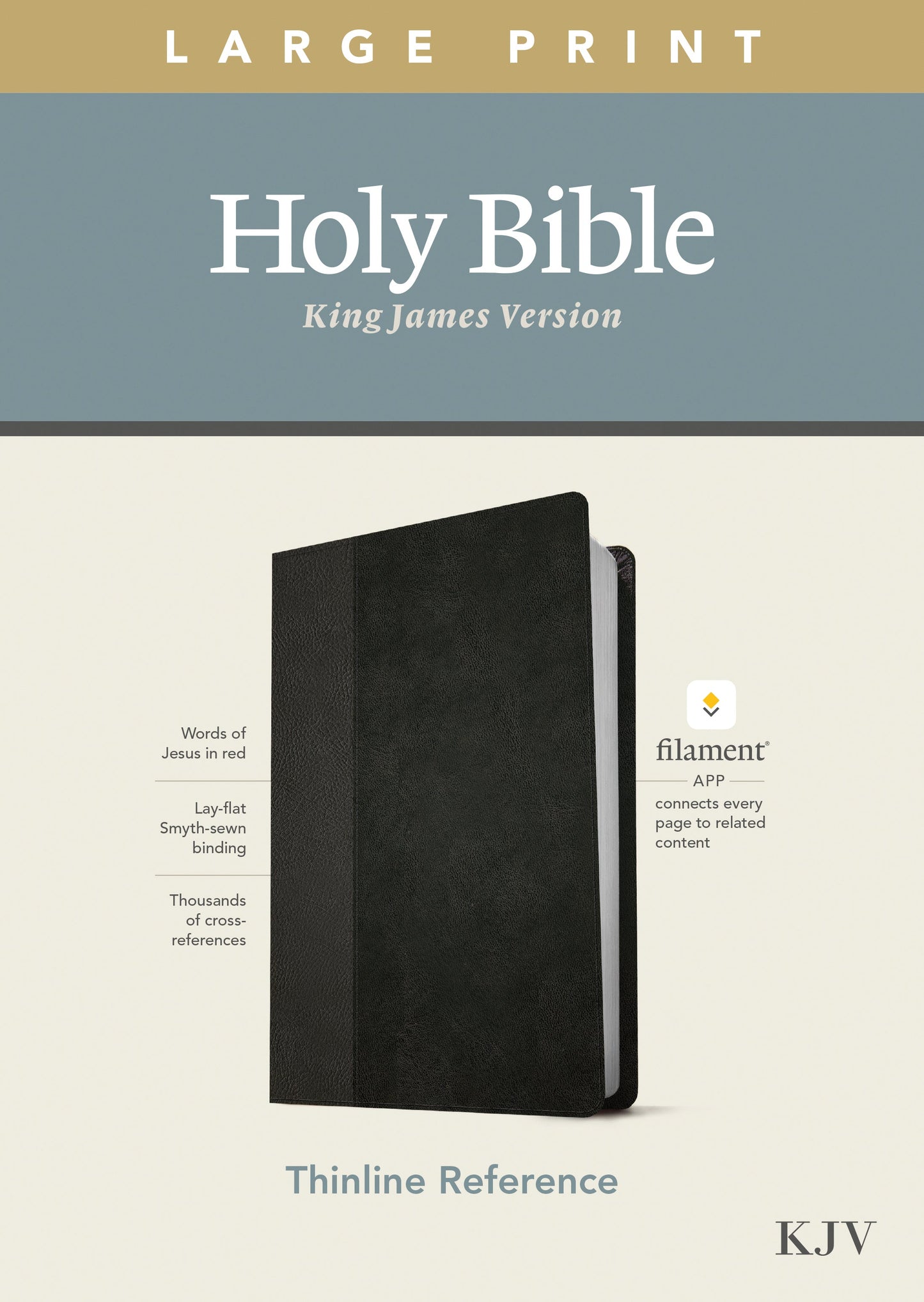 KJV Large Print Thinline Reference Bible, Filament Edition - Re-vived