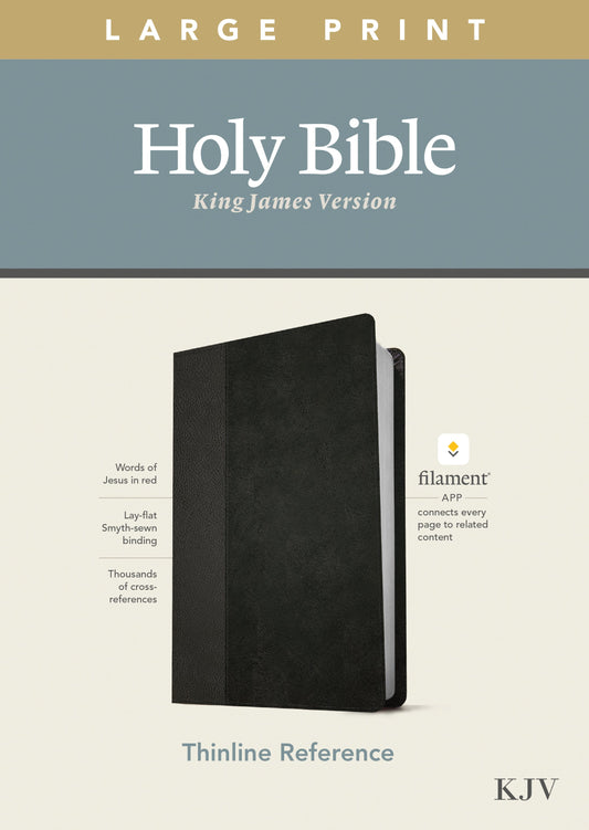 KJV Large Print Thinline Reference Bible, Filament Edition - Re-vived