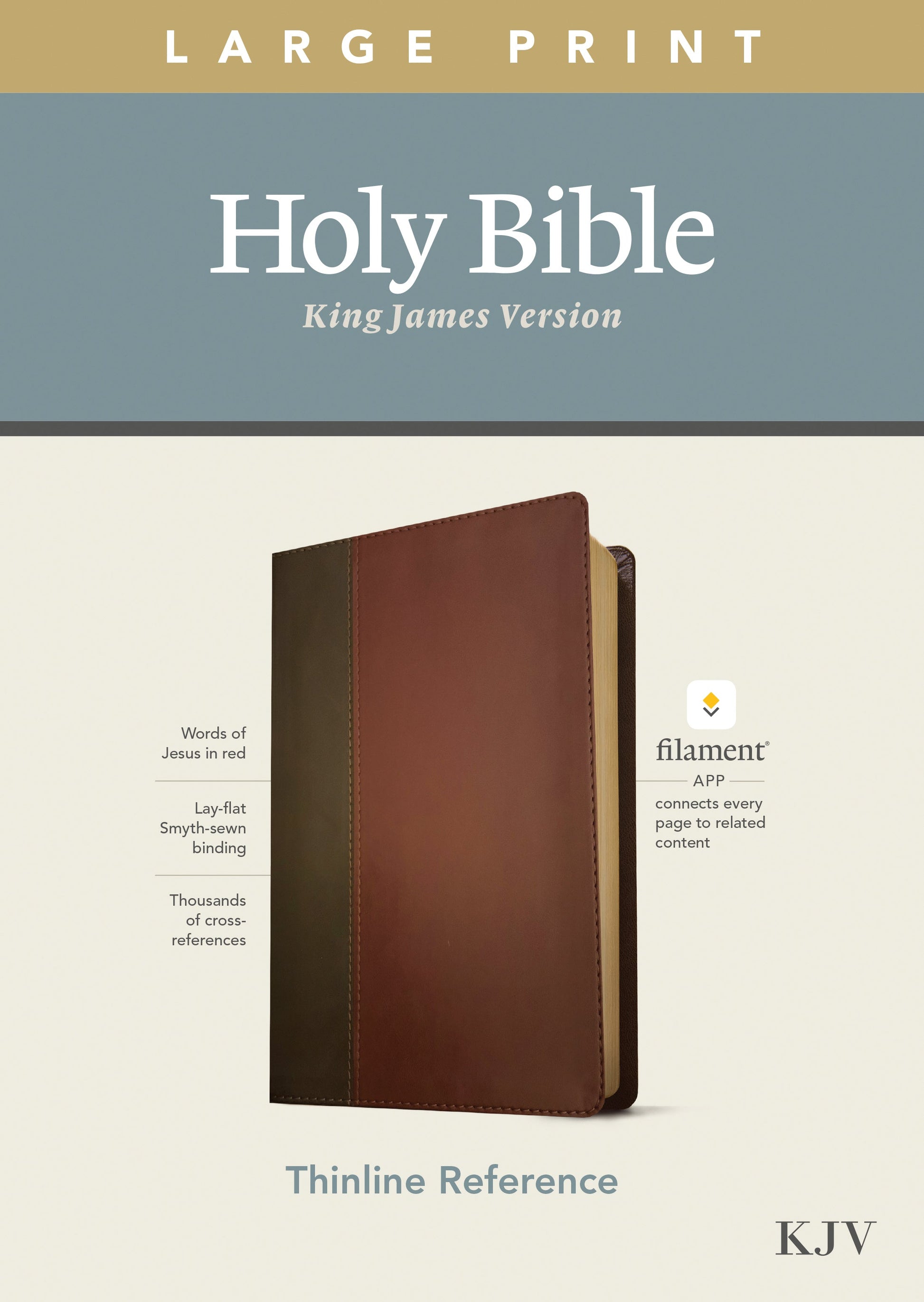 KJV Large Print Thinline Reference Bible, Filament Edition - Re-vived