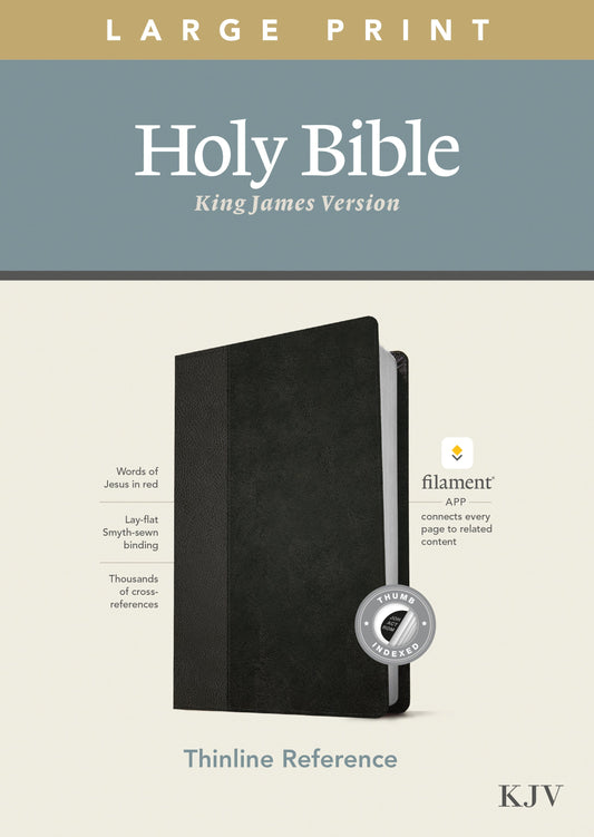 KJV Large Print Thinline Reference Bible, Filament Enabled Edition (Red Letter, LeatherLike, Black/Onyx, Indexed) - Re-vived