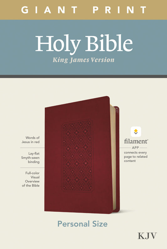 KJV Personal Size Giant Print Bible, Filament Ed., Cranberry - Re-vived
