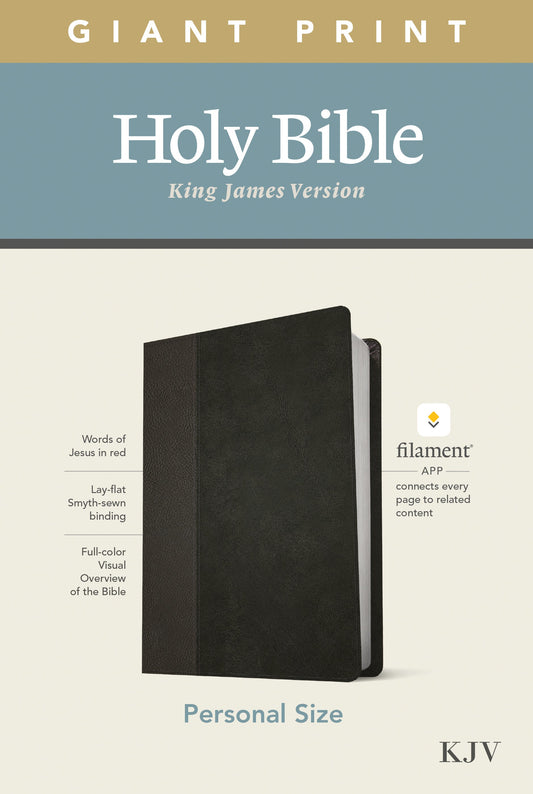 KJV Personal Size Giant Print Bible, Filament Edition, Black - Re-vived