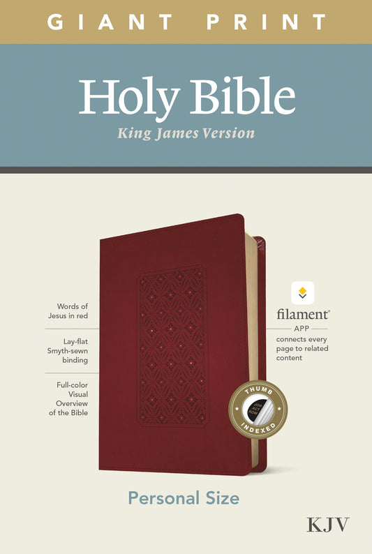 KJV Personal Size Giant Print Bible, Filament Ed., Cranberry - Re-vived