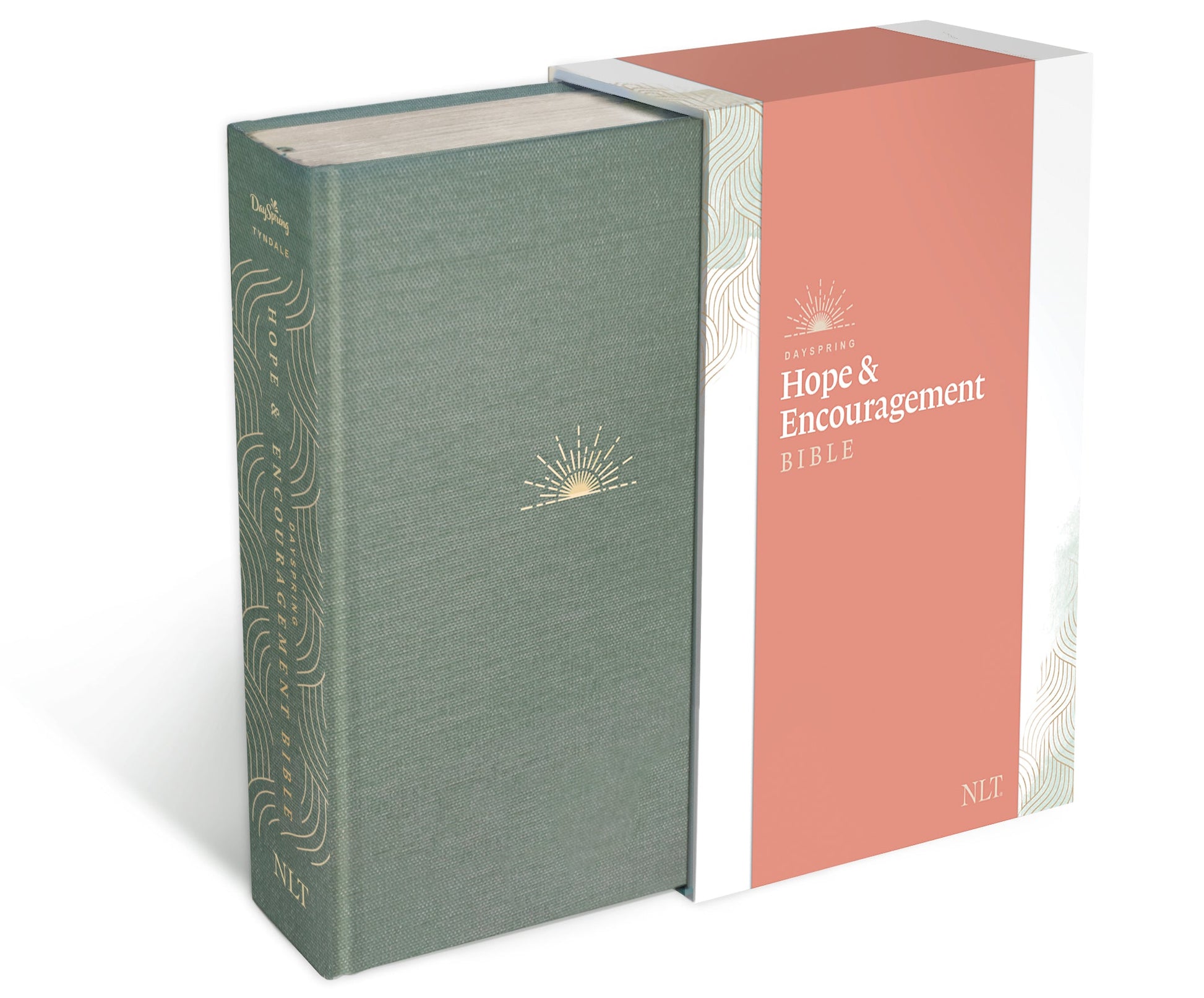 NLT DaySpring Hope & Encouragement Bible - Re-vived