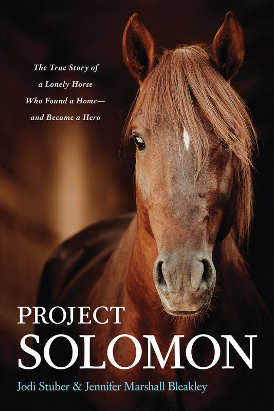 Project Solomon - Re-vived