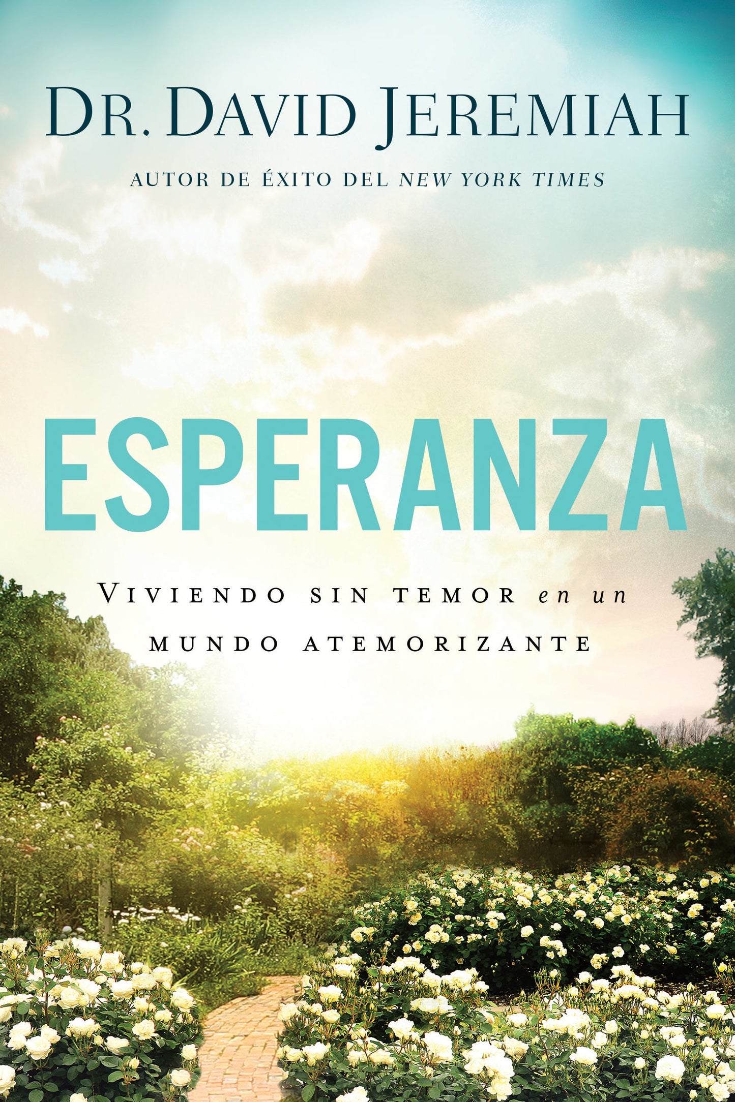 Esperanza - Re-vived