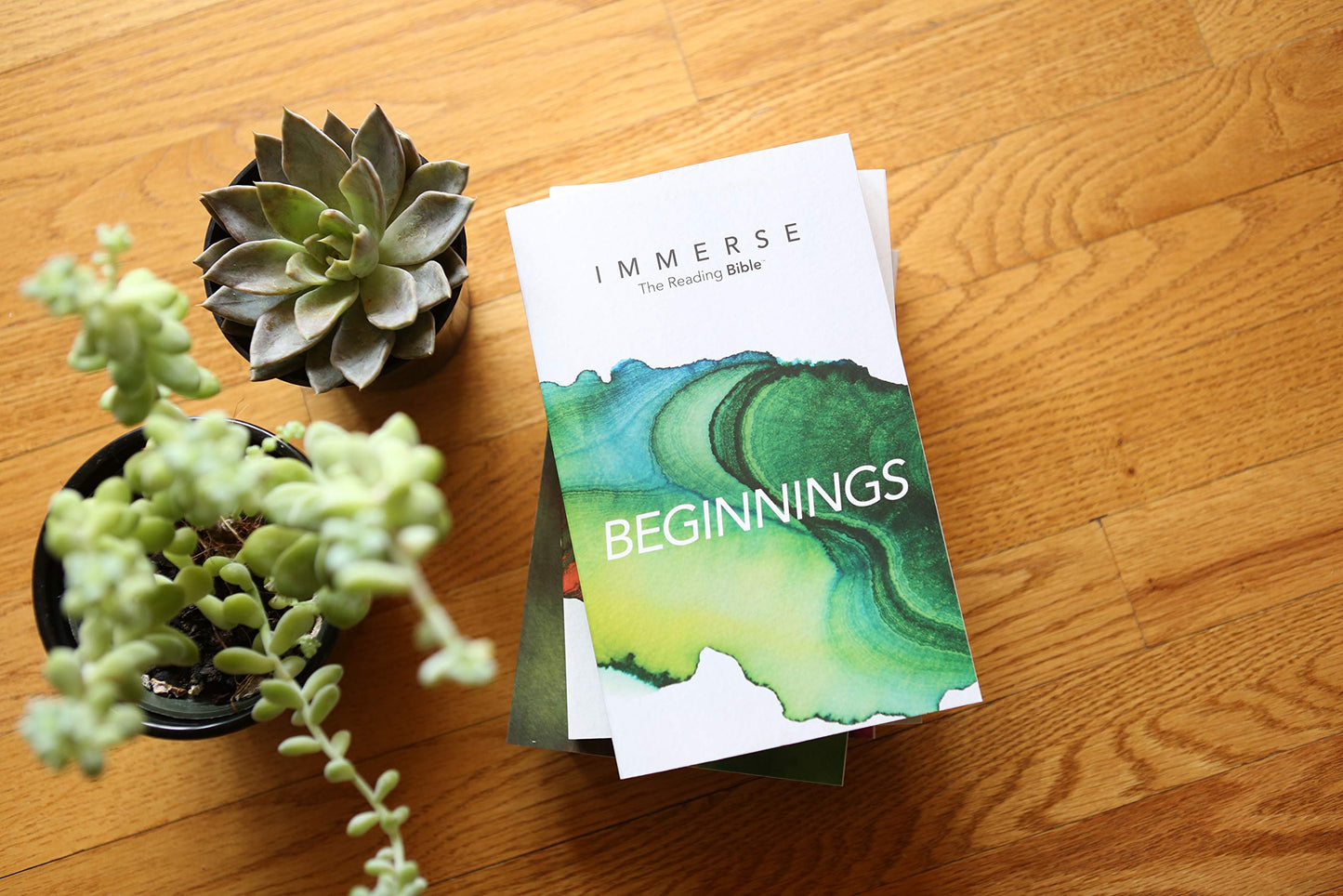 Immerse: Beginnings - Re-vived