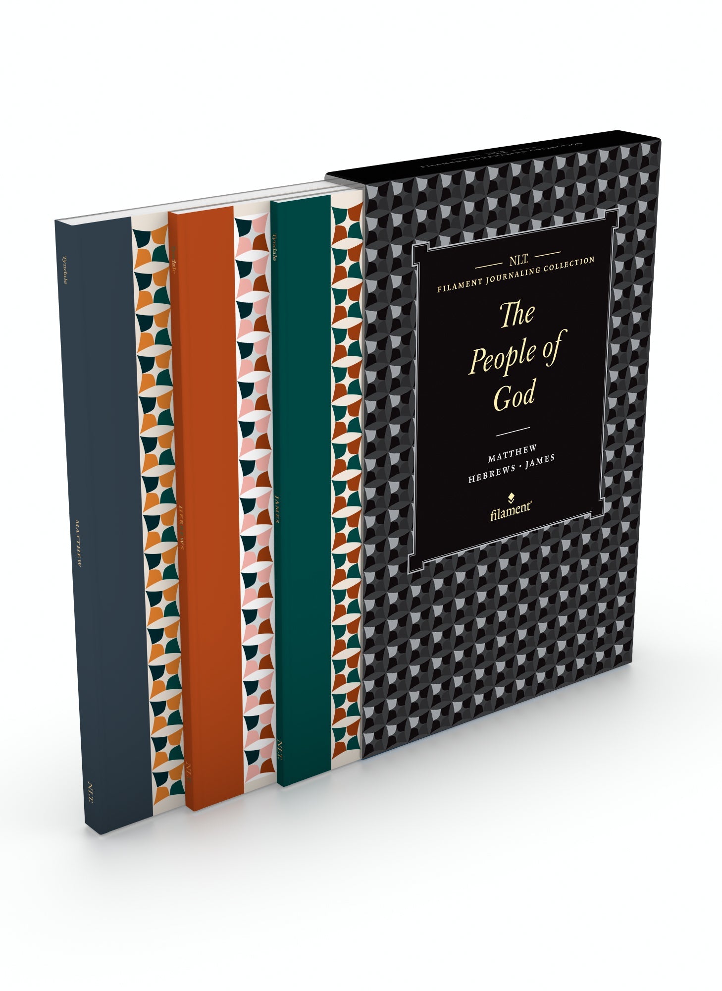 NLT Filament Journaling Collection: The People of God Set - Re-vived