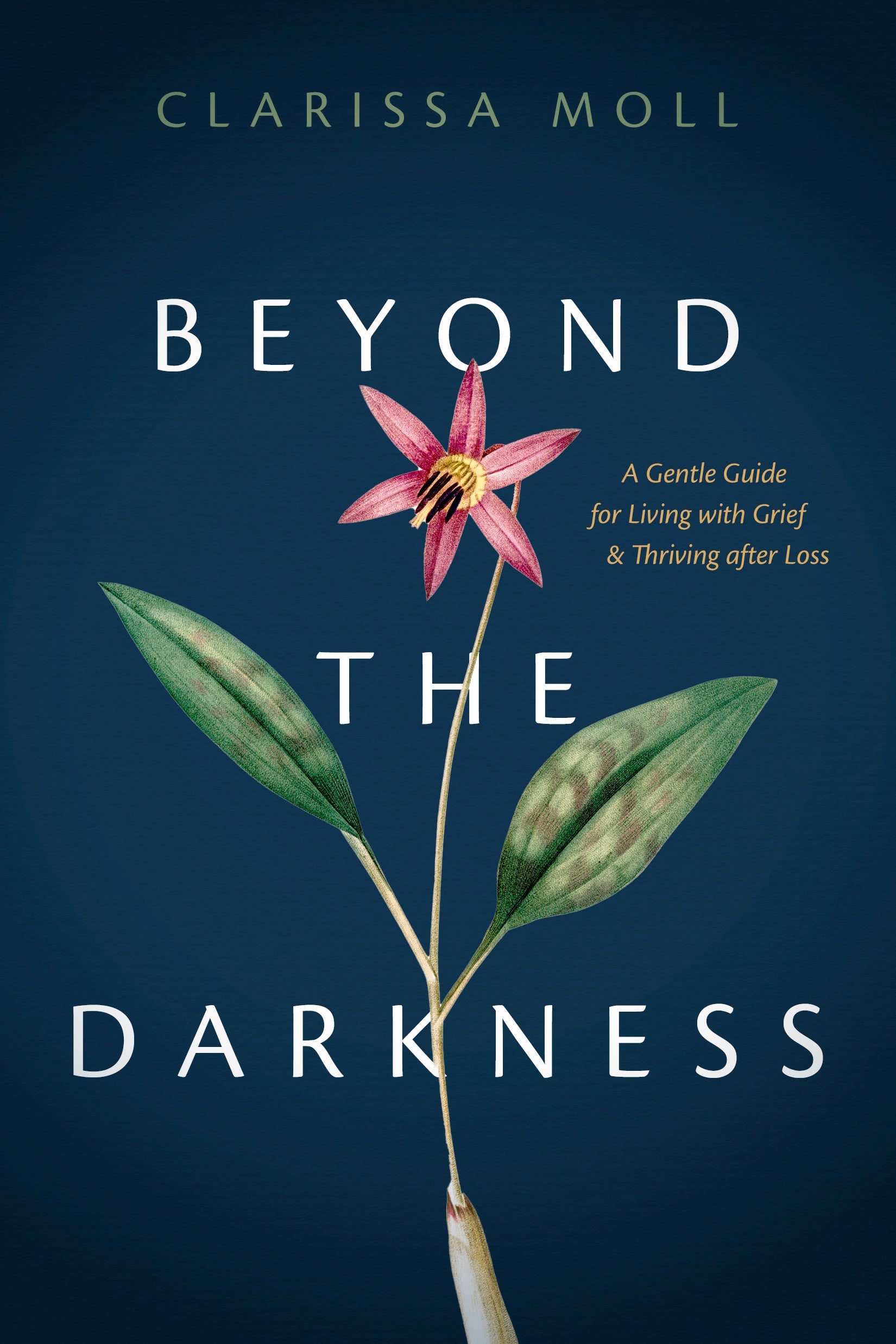 Beyond the Darkness - Re-vived