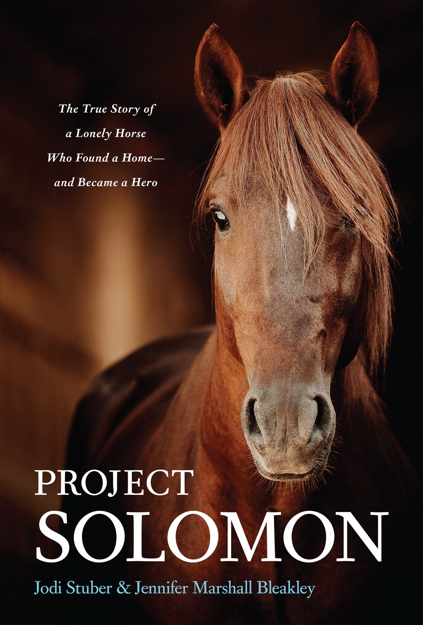 Project Solomon - Re-vived