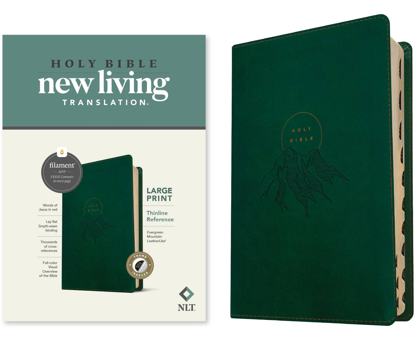 NLT Large Print Thinline Reference Bible, Filament Edition - Re-vived