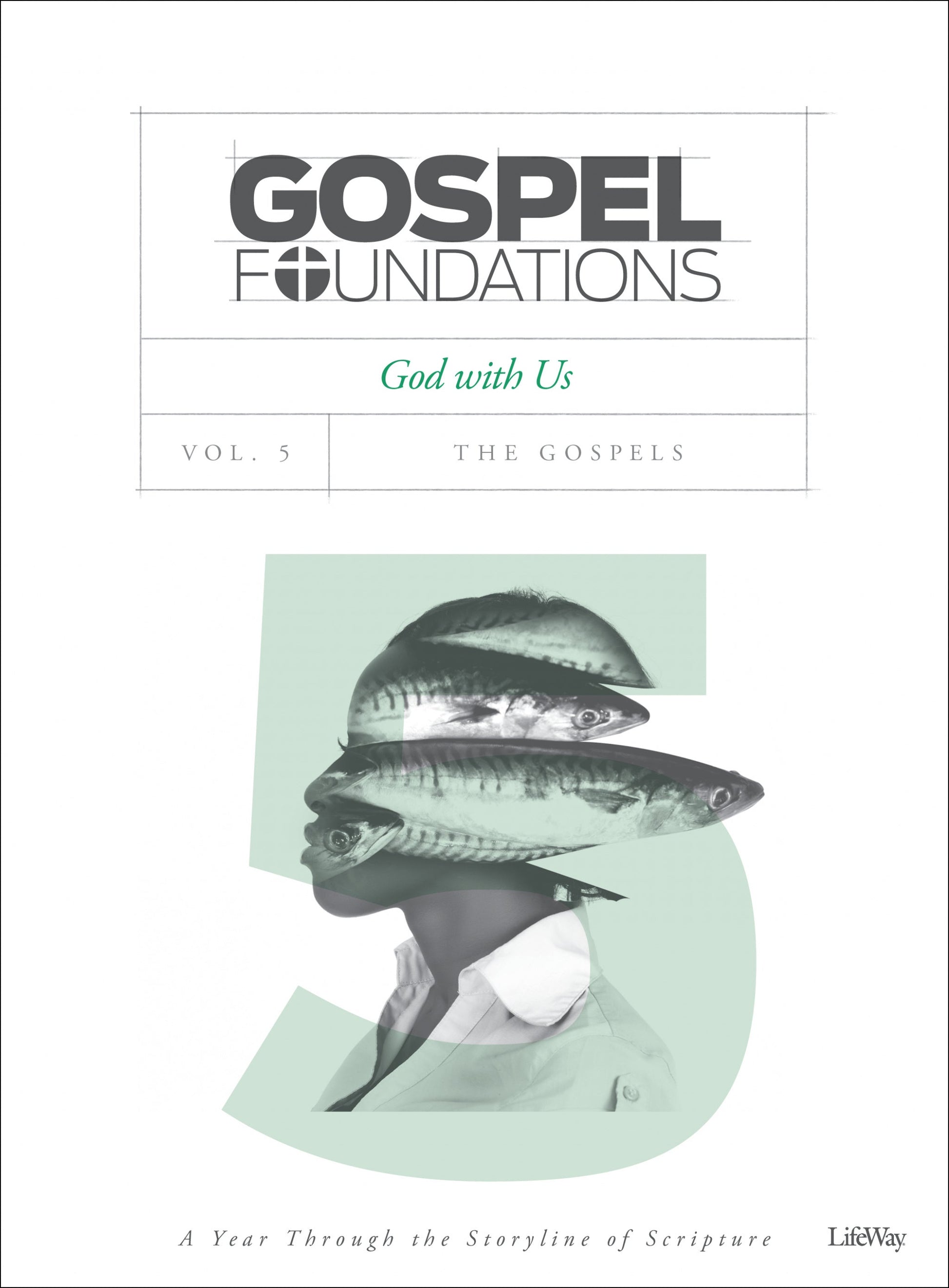 Gospel Foundations Volume 5 Bible Study Book - Re-vived