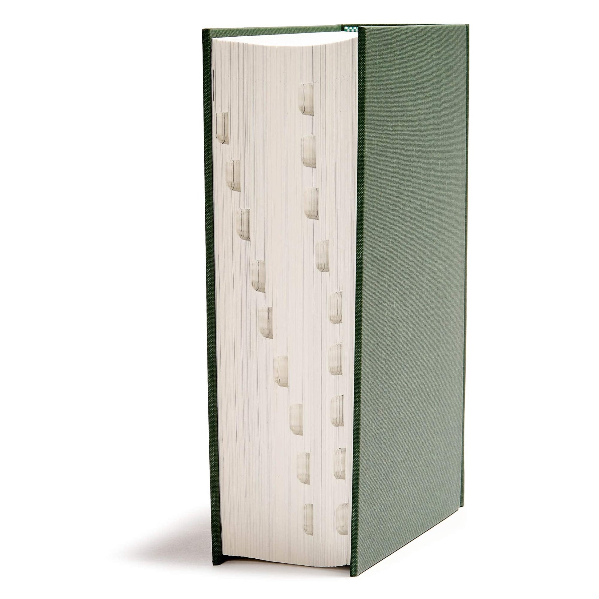 CSB He Reads Truth Bible, Green Cloth Over Board Indexed - Re-vived
