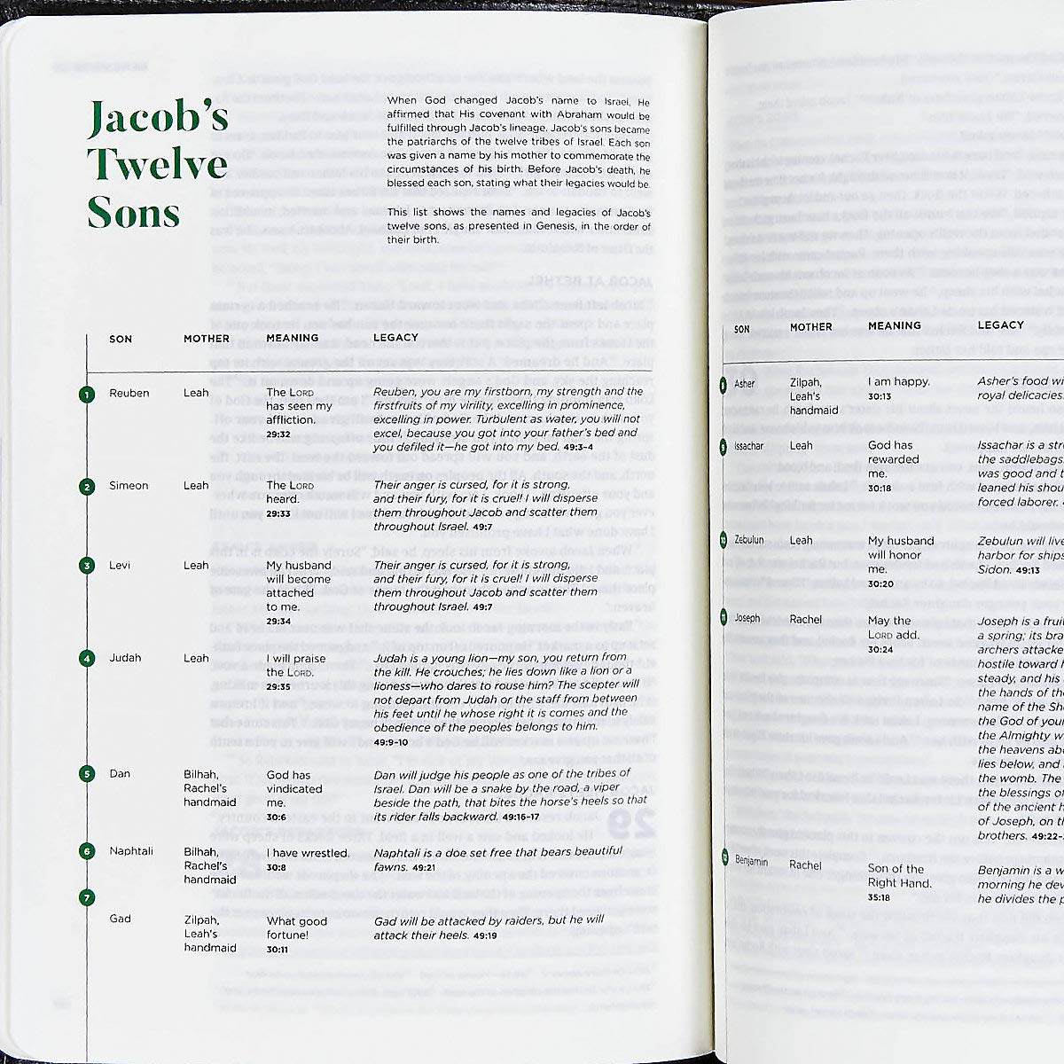 CSB He Reads Truth Bible, Green Cloth Over Board Indexed - Re-vived