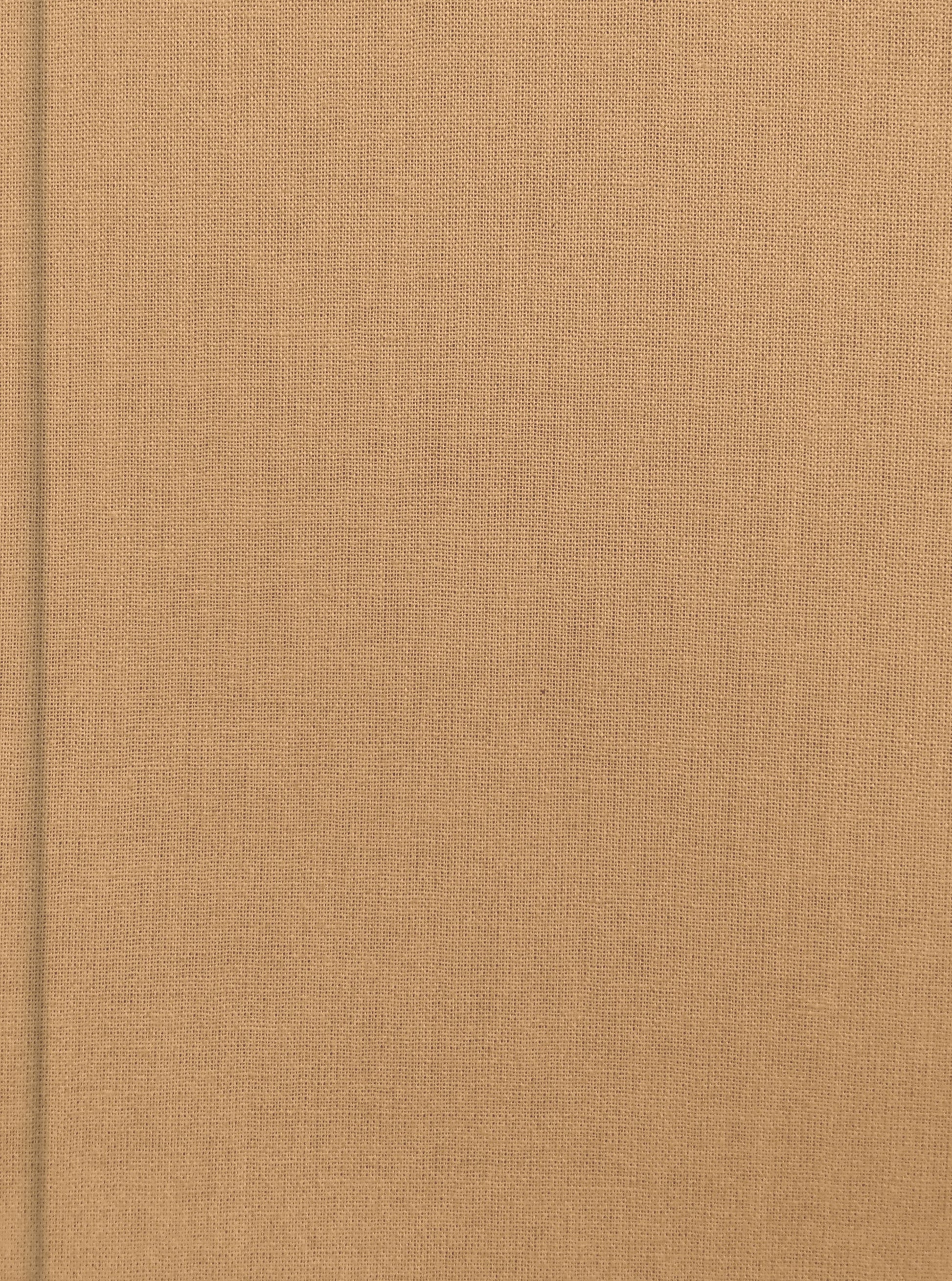 CSB Lifeway Women's Bible, Camel Cloth-Over-Board - Re-vived