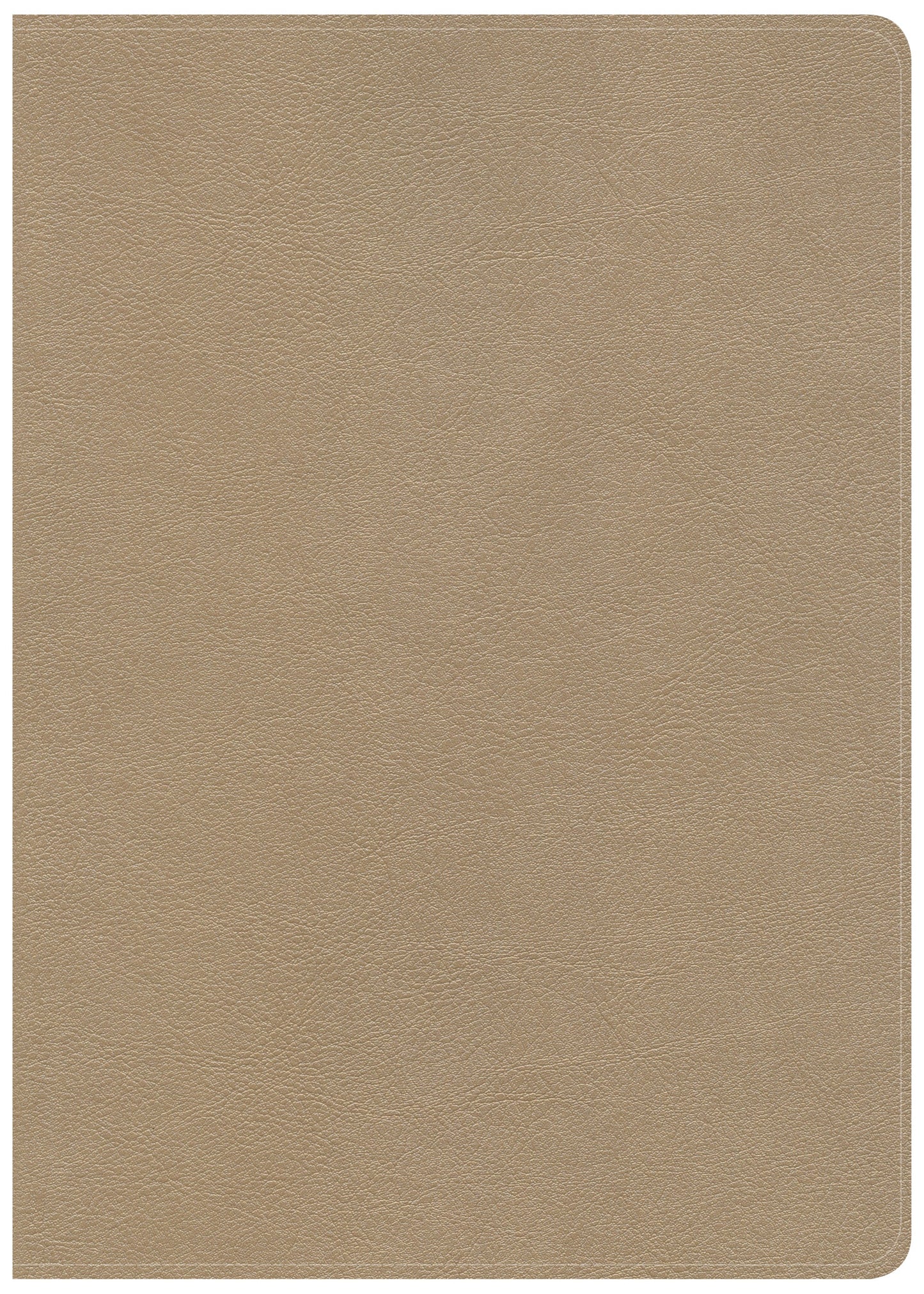 CSB She Reads Truth Bible, Champagne LeatherTouch, Indexed - Re-vived