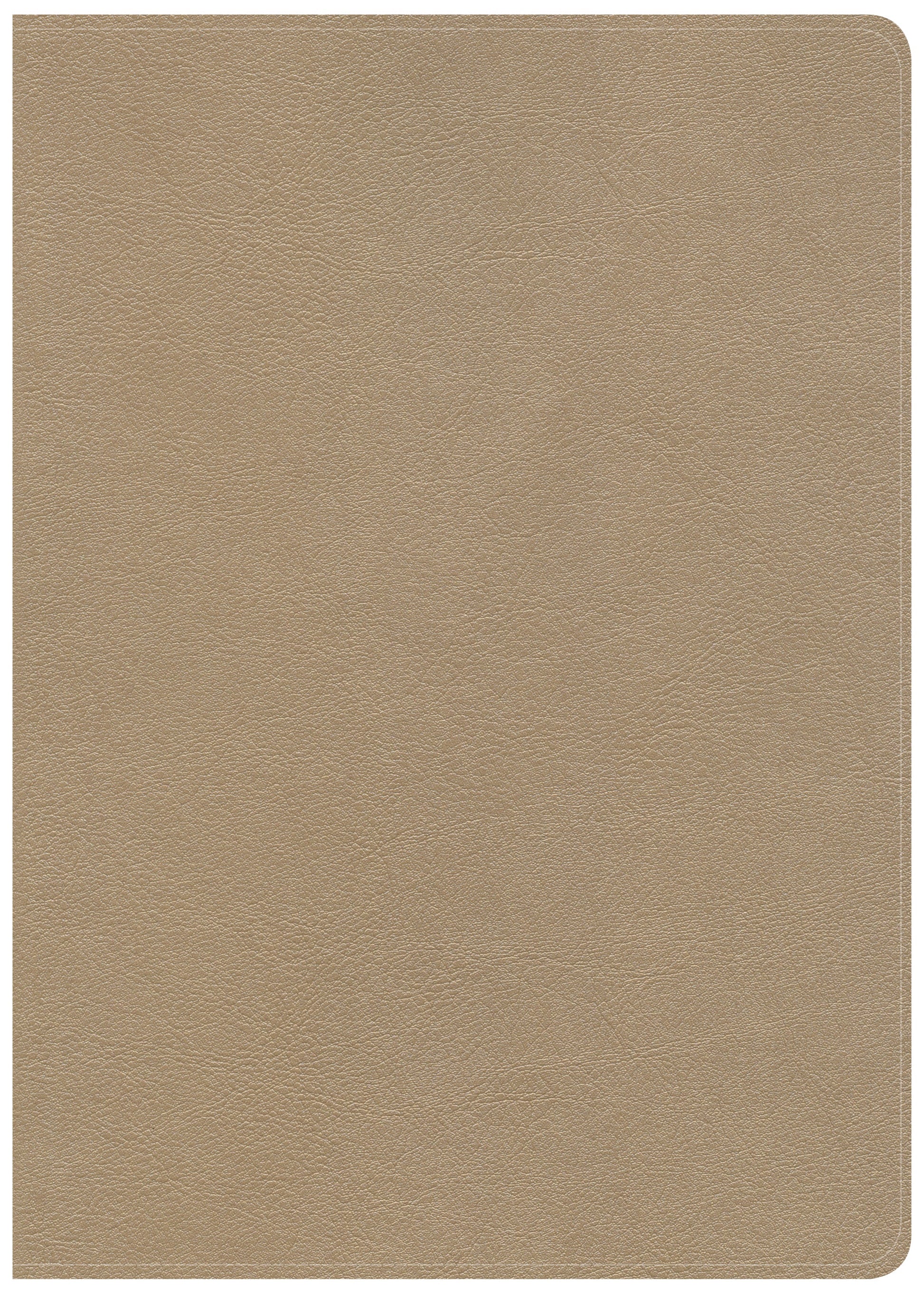CSB She Reads Truth Bible, Champagne LeatherTouch, Indexed - Re-vived