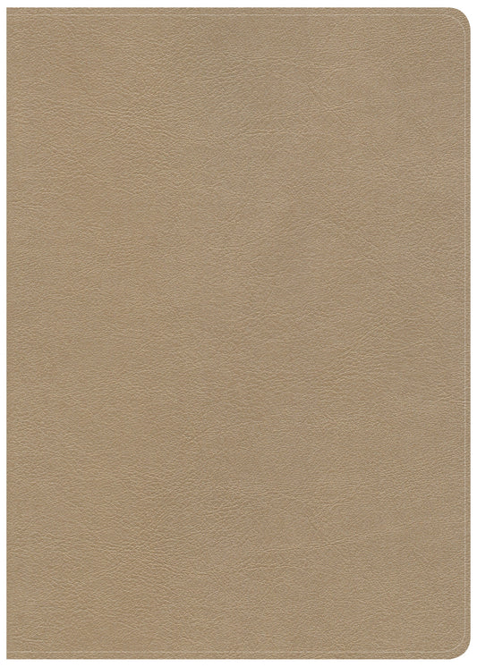 CSB She Reads Truth Bible, Champagne LeatherTouch, Indexed - Re-vived
