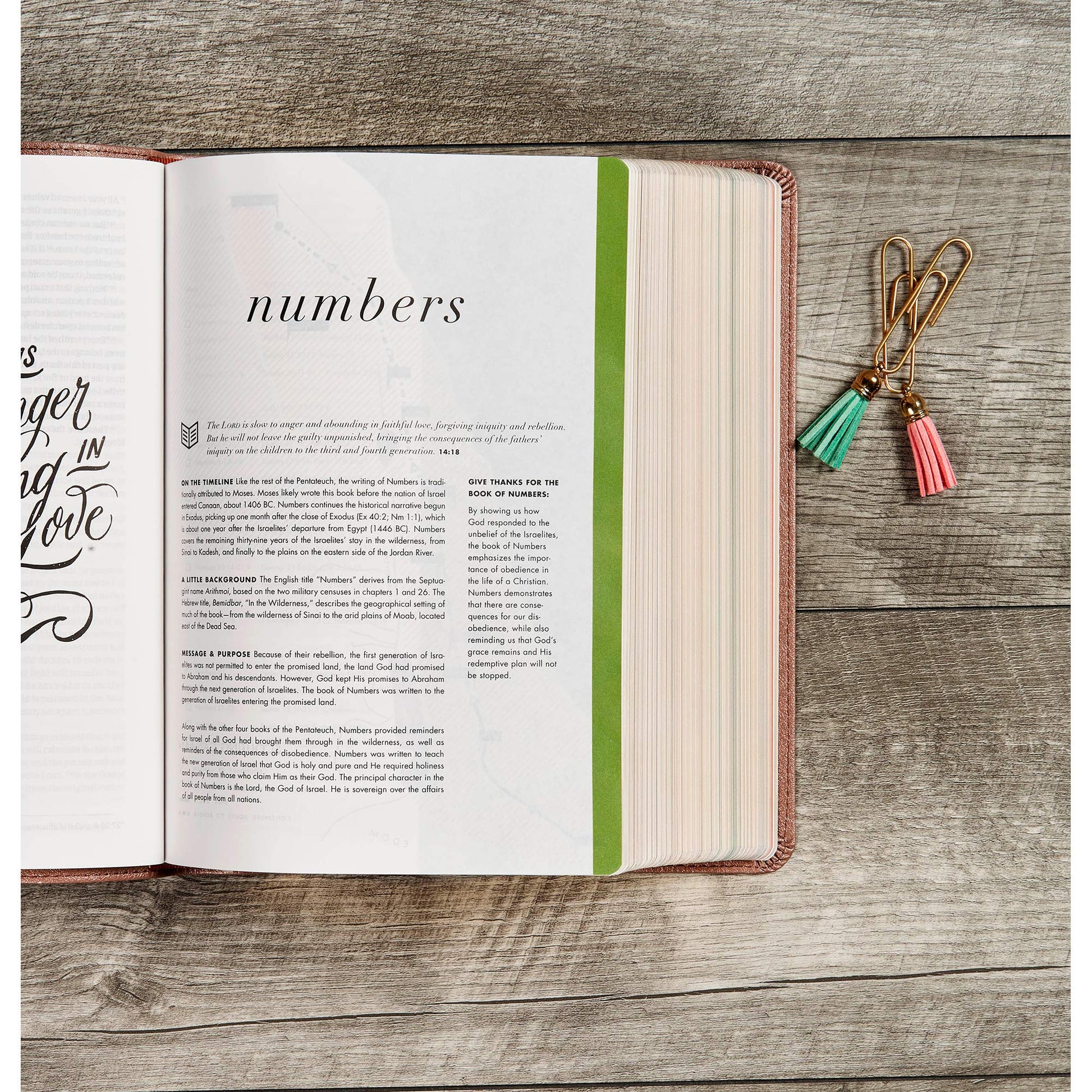 CSB She Reads Truth Bible, Rose Gold LeatherTouch - Re-vived