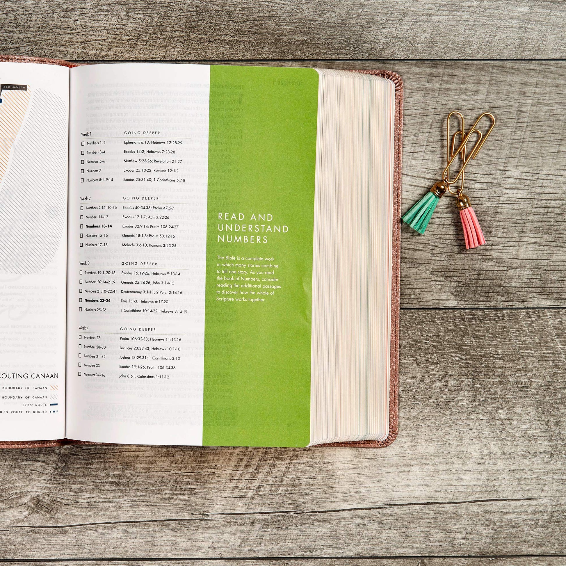 CSB She Reads Truth Bible, Rose Gold LeatherTouch - Re-vived
