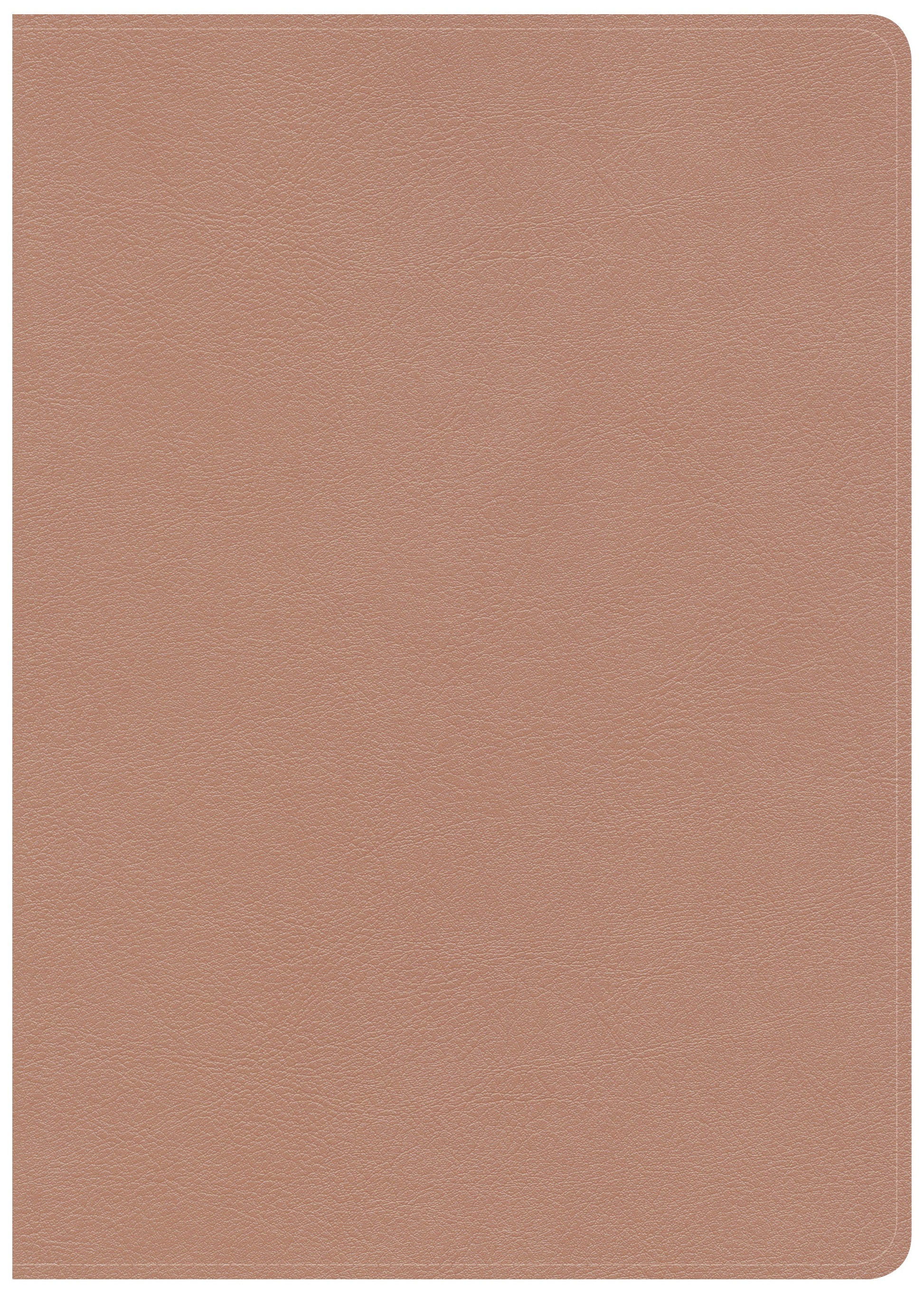 CSB She Reads Truth Bible, Rose Gold LeatherTouch, Indexed - Re-vived