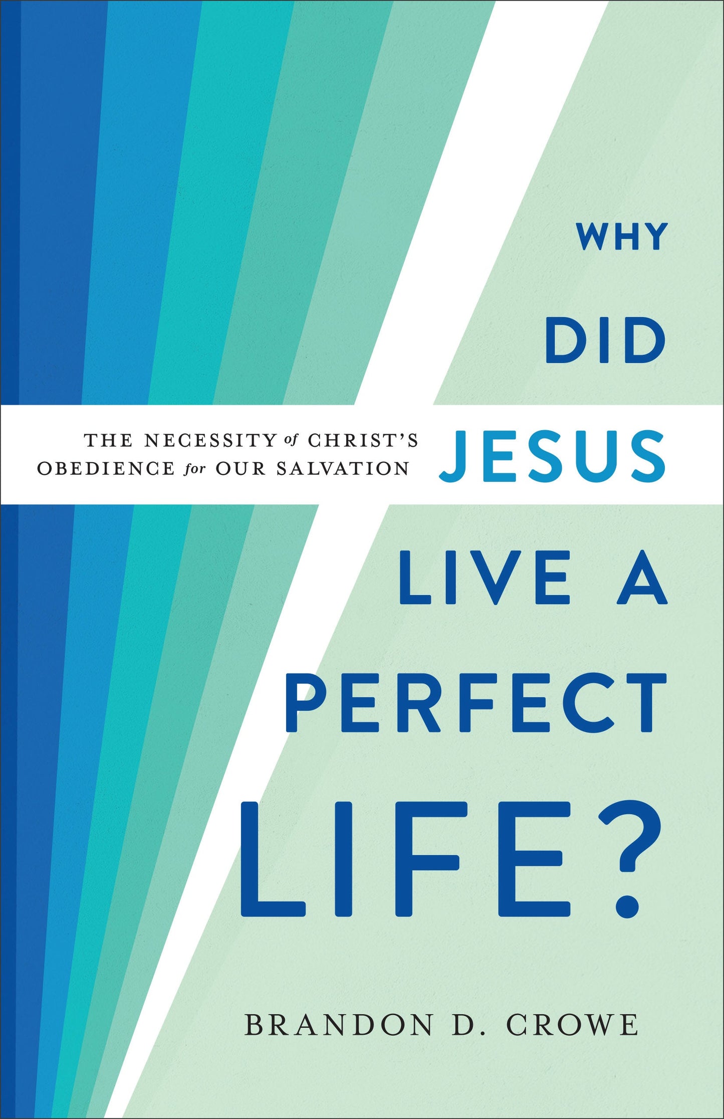 Why Did Jesus Live a Perfect Life? - Re-vived