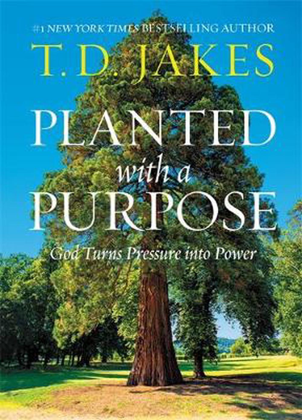 Planted With a Purpose - Re-vived