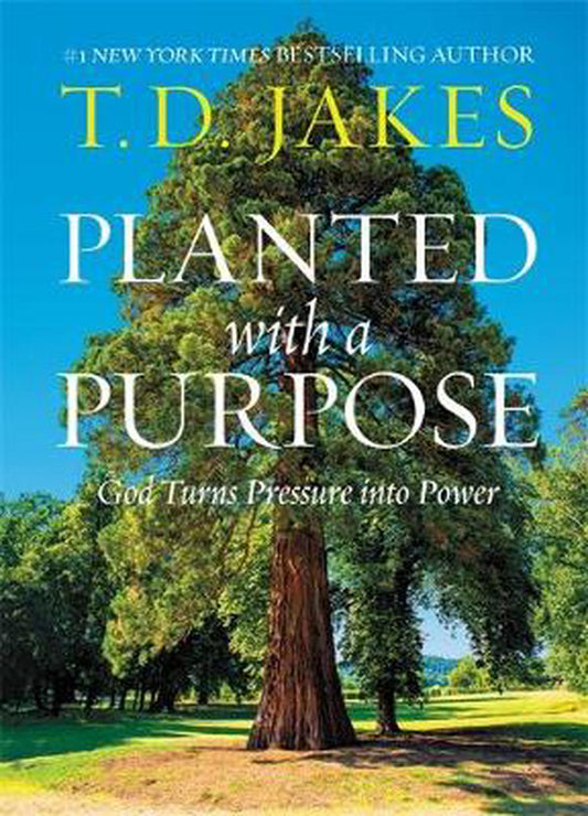 Planted With a Purpose - Re-vived