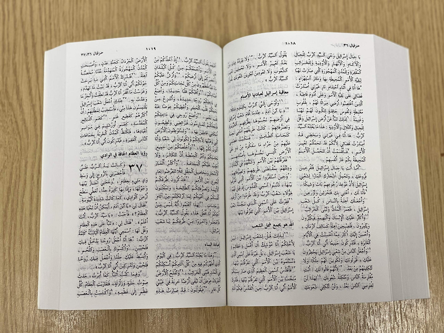 Arabic Compact Bible - Re-vived